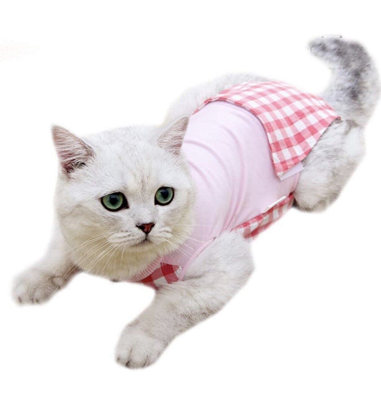 Coppthinktu Cat Recovery Suit For Abdominal Wounds Or Skin Diseases, Baize Small